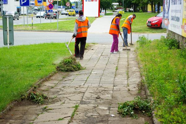 Vépépéčka pomáhají při úklidu Kolína | FOTO: Martin Prokop